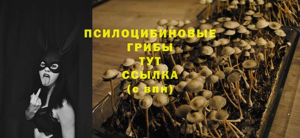 экстази Богородицк