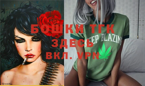 экстази Богородицк