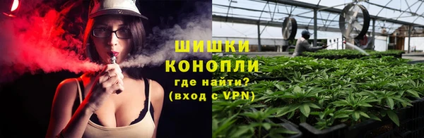 бутират Богданович
