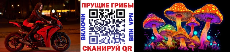 Купить  Тейково  Псилоцибиновые грибы GOLDEN TEACHER 