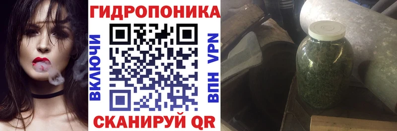 Купить  Тейково  МАРИХУАНА сатива 